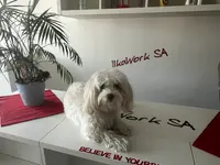 ILKAWORK SA
