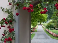 Klinik Schloss Mammern AG - Klicken Sie, um das Bild 6 in einer Lightbox vergrössert darzustellen