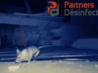 Partners Desinfection | Votre spécialiste en Nuisibles