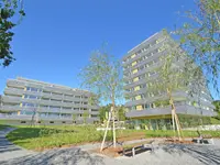 Zollinger Immobilien