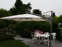 Storexpert Ticino di Stefania Pacifico-Brunelli