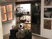 ColeDesign Colette Beer