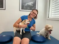 Hundephysiotherapie - PAWMATICS