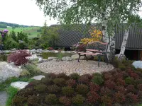 Baumann Gartenbau AG