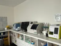 Dr. Teixeira Micael