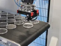 Polyvite AG