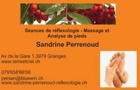 Perrenoud Sandrine-Logo