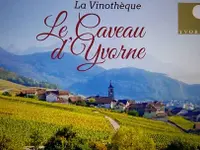 PROVY Promotion des vins