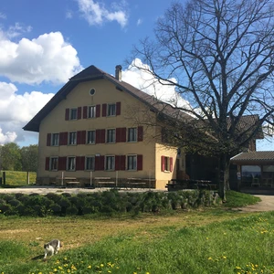 Ferme-Restaurant Pierreberg