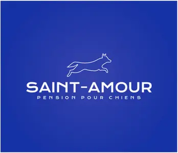 PENSION SAINT-AMOUR