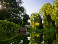 Salathé Rentzel Gartenkultur AG