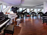 Boullard Musique SA