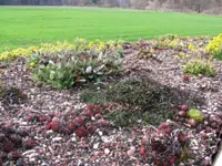 Hatt Gartenbau