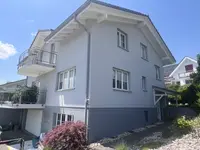 Wild Malerei AG