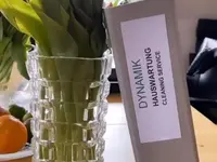 Dynamik Hauswartung GmbH