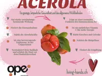 LivingHands GmbH Ganzheitliche Therapien im Seetal