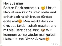 Hundesalon s'Paradiesli - Kampwirth GmbH - Klicken Sie, um das Bild 19 in einer Lightbox vergrössert darzustellen