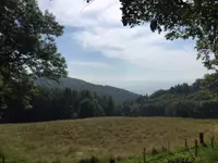 Restaurant zur Alp - Klicken Sie, um das Bild 1 in einer Lightbox vergrössert darzustellen