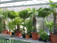 Herrmann Garten & Blumen AG