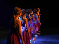 Verein TDC dance company & school