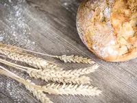 Bäckerei Konditorei Sterchi Länggasse-Brückfeld