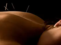 Praxis für Traditionelle Chinesische Medizin - Gregory Hofer