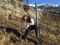 BIOCAVE Marc Güntert