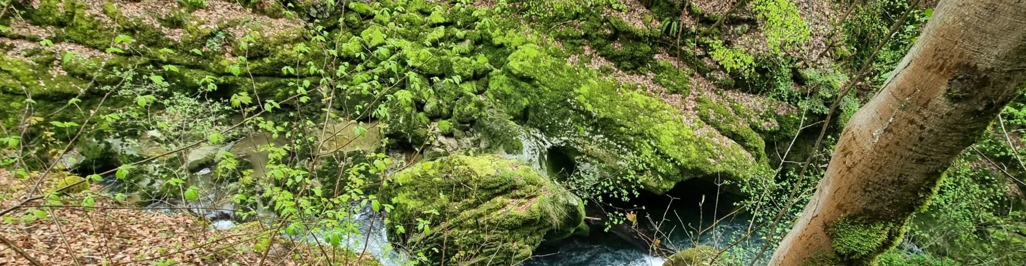 Cabinet Lavandine, Mariève Bourban