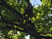 Passion Forêt SA