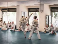 Taekwon-Do Terranova Zürich