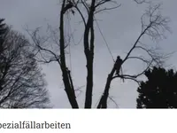 Wildi Garten