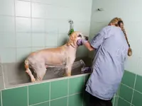 Tierferienheim Fahrhubel GmbH