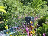 Haring + Partner Gartenbau AG