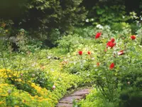 Neuhaus Stefan, Landschaftsgärtner/Paysagiste