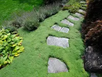 Rothenbühler Gartenbau AG