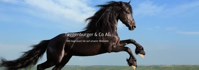 Toggenburger & Co AG