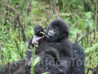 A + M Africa Tours GmbH