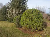 Jardin A2 et Marbrerie Theurillat