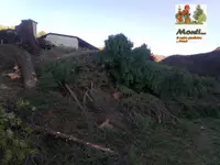 Momò di Monti Ivano