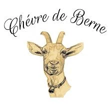 Chèvre de Berne