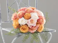 Blumen Fleischli