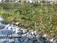 Bösiger Gartenbau AG