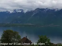 Restaurant du Raisin - Klicken Sie, um das Bild 3 in einer Lightbox vergrössert darzustellen