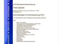 Schimmel Experten