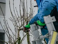 Brügger Gärten AG - Klicken Sie, um das Bild 22 in einer Lightbox vergrössert darzustellen