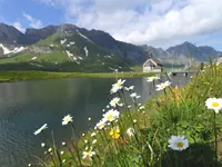 Elektrizitätswerk Obwalden - cliccare per ingrandire l’immagine 3 in una lightbox