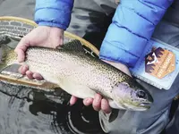 Pigrusa Pisciculture de la Gruyère SA