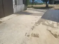 Vieira