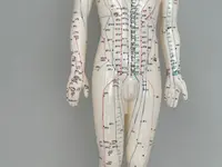 TCM Naturheilpraxis Stoll