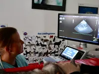 Tierklinik Leimental